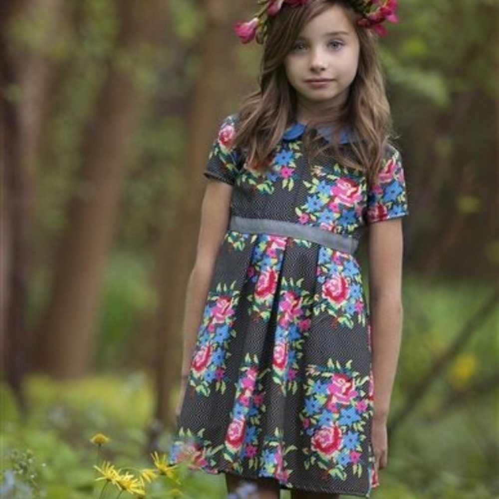 Persnickety size 12 (FITS LIKE A 10!) Ellen dress